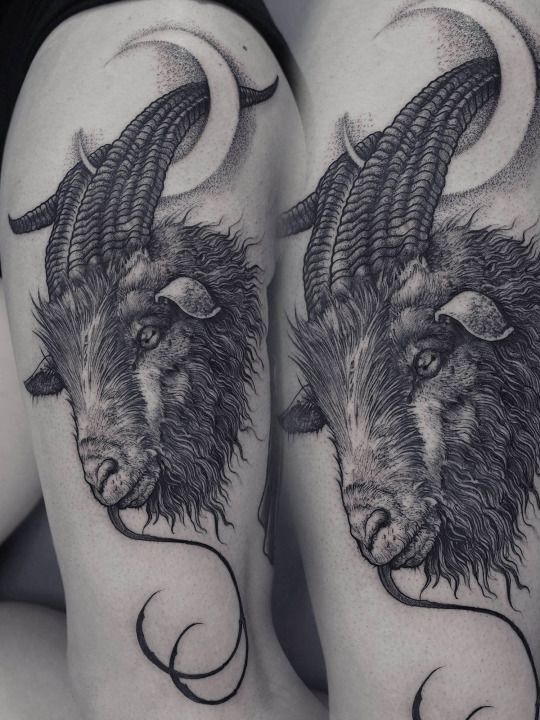 Hình xăm đầu dê phong cách blackwork, chi tiết, vị trí trên bắp tay, ảnh HD.