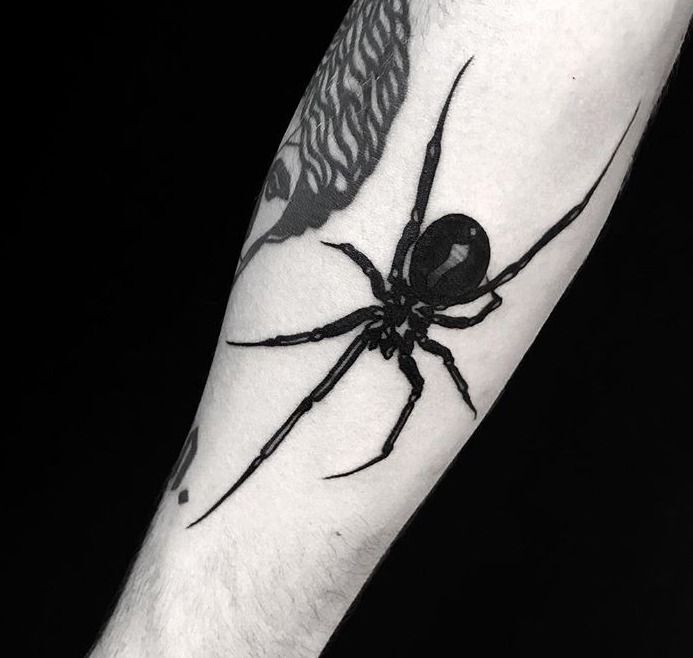 Hình xăm nhện blackwork trên cánh tay, phong cách chi tiết rõ nét, độ phân giải HD.