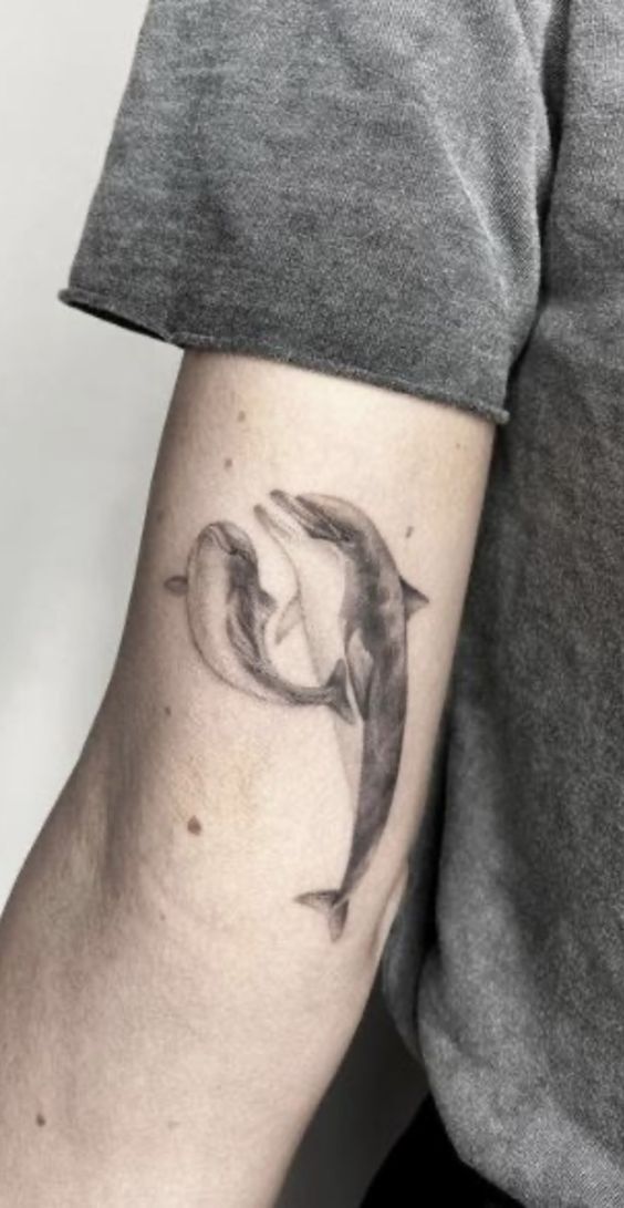 Hình xăm cá heo trên bắp tay, phong cách blackwork, chi tiết rõ nét, độ phân giải HD.
