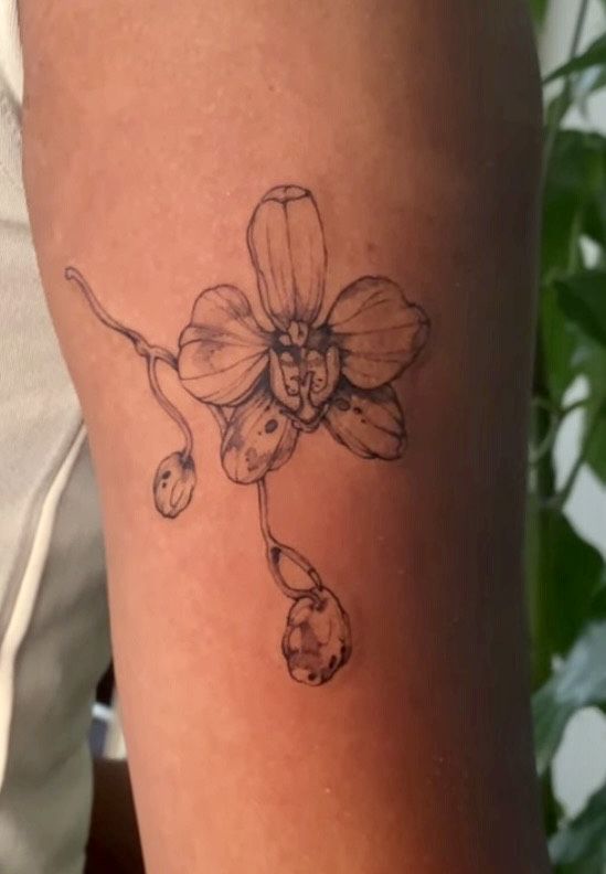 tattoo hoa lan cực xinh Hình xăm hoa phong cách blackwork trên cánh tay, chi tiết tinh tế, ảnh HD.