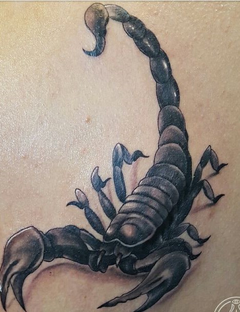 Hình xăm bọ cạp phong cách blackwork trên lưng, chi tiết rõ ràng, ảnh HD.