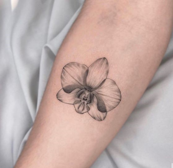 xăm bông hoa lan Hình xăm hoa lan phong cách blackwork trên tay, chi tiết rõ nét, độ phân giải HD.