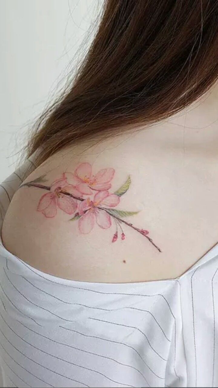 Hình xăm hoa đào dịu dàng cho phái nữ Hình xăm hoa anh đào trên vai, phong cách màu nước, chi tiết tinh tế, ảnh HD.
