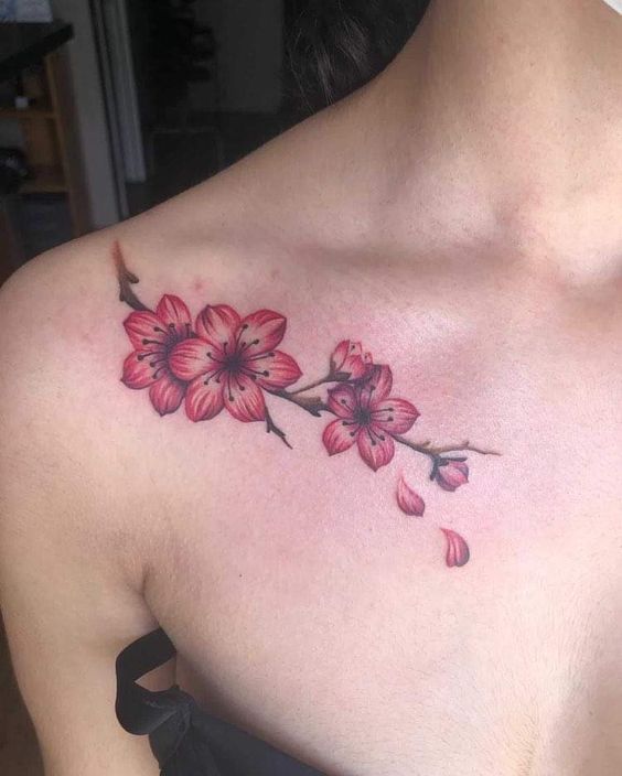 Tattoo hoa đào nam tính trên vai Hình xăm hoa anh đào phong cách màu nước trên vai, chi tiết, ảnh HD.