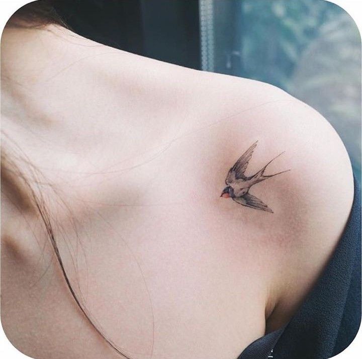 Hình xăm chim én mini trên vai, phong cách màu nước, chi tiết tinh tế, ảnh độ phân giải HD.