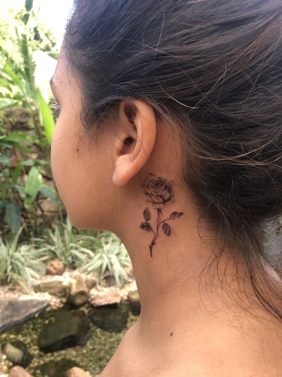 hình xăm hoa hồng mini cho nữ Hình xăm hoa hồng mini sau tai, phong cách blackwork, độ chi tiết cao, ảnh HD.