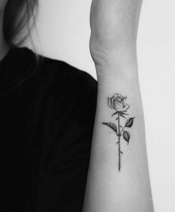 Hình xăm hoa hồng trên cẳng tay, phong cách blackwork, tối giản, ảnh đen trắng chất lượng HD.