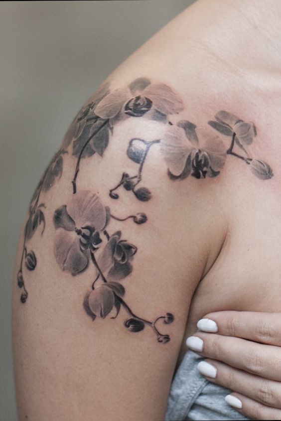 xăm hoa lan dây leo trên vai Hình xăm hoa lan trên vai, phong cách blackwork, chi tiết tinh tế, ảnh chất lượng HD.