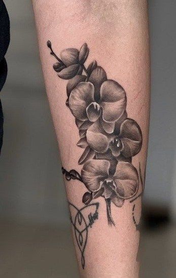tác phẩm xăm hoa lan đen trắng thanh lịch Hình xăm hoa lan trên cánh tay, phong cách blackwork chi tiết, ảnh độ phân giải HD.