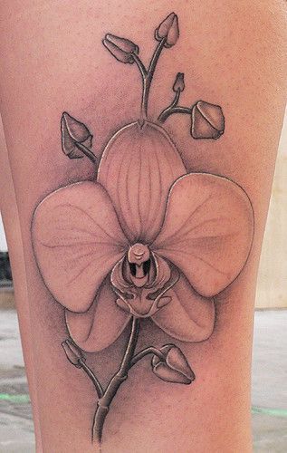 tác phẩm xăm hoa phong lan rõ nét Hình xăm hoa lan trên đùi, phong cách blackwork chi tiết, ảnh độ phân giải HD.