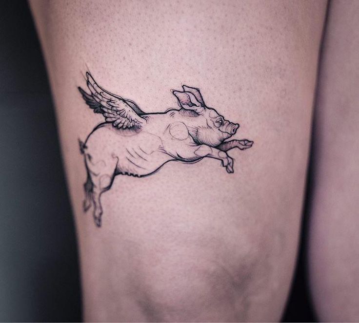 hình xăm phong cách độc lạ heo có cánh Hình xăm lợn có cánh ở đùi, phong cách blackwork, chi tiết rõ nét, ảnh HD.