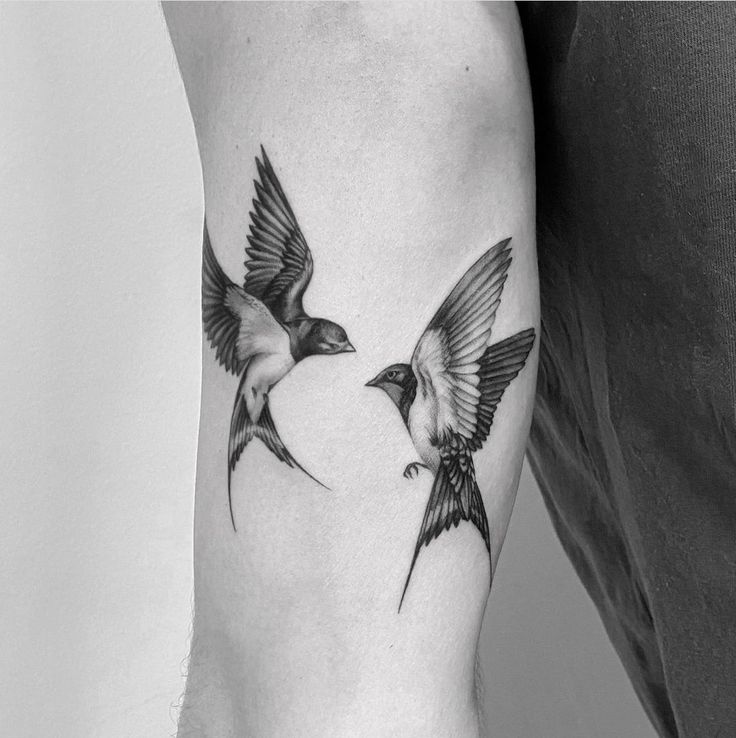 Hình xăm chim én ở bắp tay, phong cách blackwork, chi tiết tinh tế, ảnh độ phân giải cao.