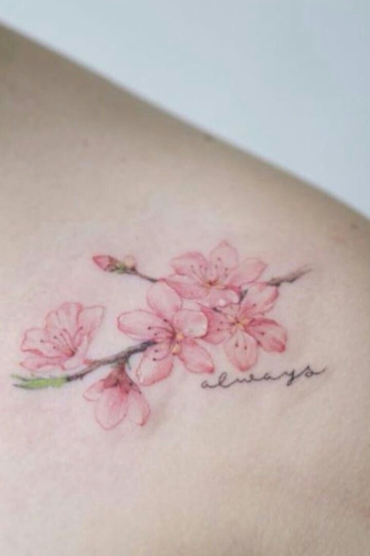 Thiết kế hình xăm hoa nhẹ nhàng sắc hồng Hình xăm hoa anh đào phong cách màu nước trên vai, chi tiết tinh tế, ảnh HD.