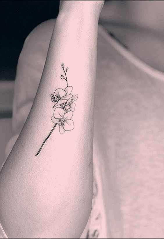 thiết kế tattoo hoa lan nhỏ xinh thích hợp cho phái nữ Hình xăm hoa lan mini trên cánh tay, phong cách blackwork, ảnh HD chi tiết.