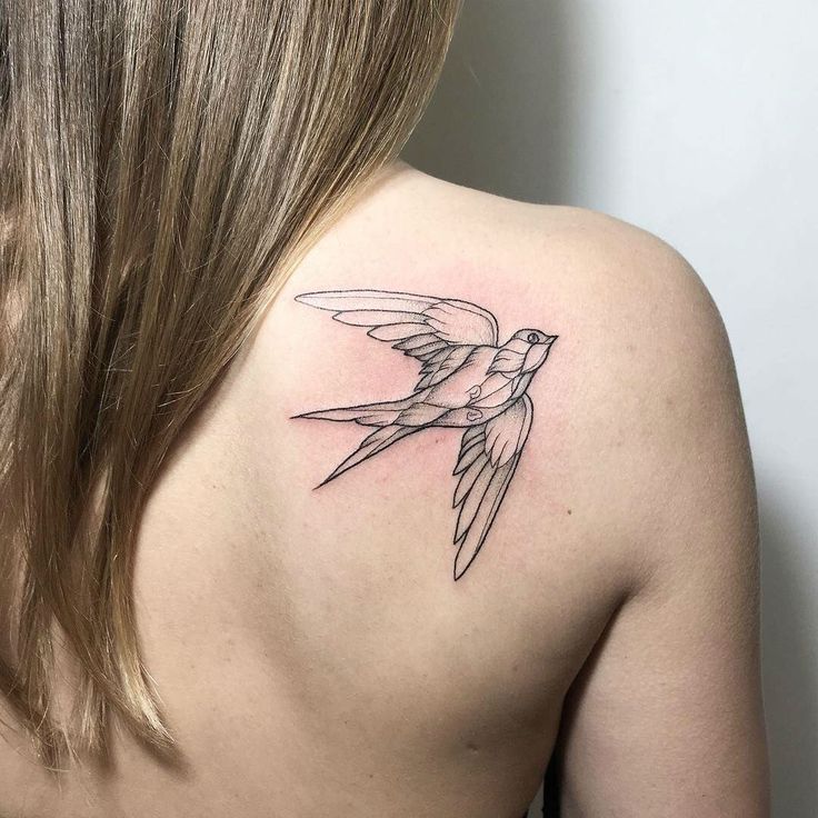 Hình xăm chim én trên vai, phong cách blackwork, chi tiết tinh tế, ảnh chất lượng HD.