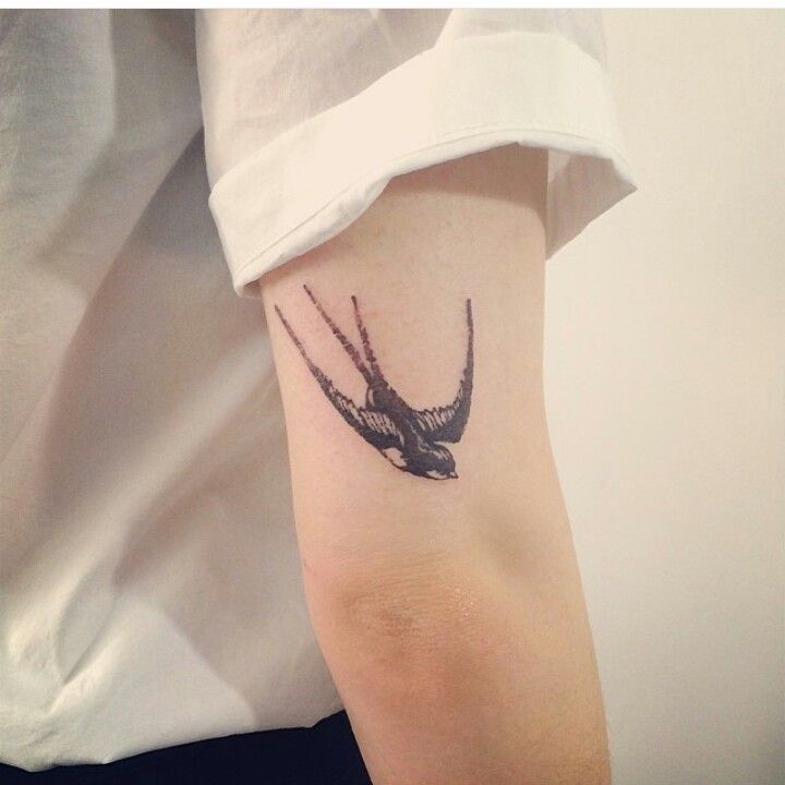 Hình xăm chim én trên tay, phong cách blackwork tinh tế, ảnh độ phân giải cao.