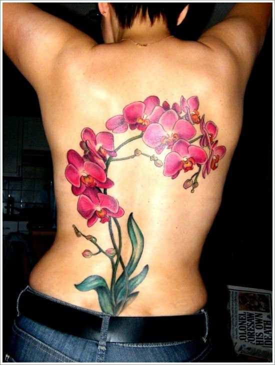 mẫu xăm hoa lan sau lưng của khách Hình xăm hoa phong lan sống động trên lưng, phong cách hiện đại, ảnh độ phân giải cao.