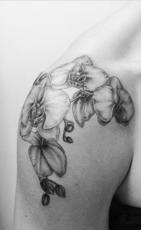 mẫu xăm hoa lan ở cầu vai Hình xăm hoa lan đen trắng trên vai, phong cách blackwork, chi tiết, độ phân giải HD.