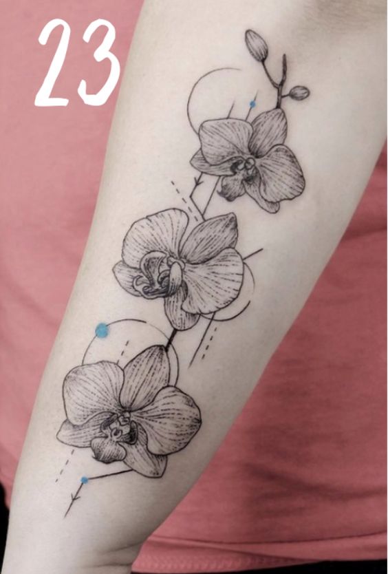 nghệ thuật khắc họa ba loại hoa lan trên da Hình xăm hoa lan trên cánh tay, phong cách blackwork tinh tế, độ phân giải HD.