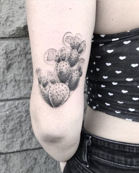 Hình xăm xương rồng blackwork trên tay, chi tiết rõ nét, ảnh HD.
