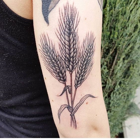 Nghệ thuật phun xăm bông lúa mới lạ Hình xăm bông lúa trên cánh tay, phong cách blackwork chi tiết, độ phân giải HD.