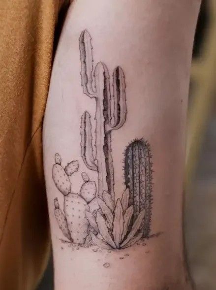 Hình xăm xương rồng blackwork trên cánh tay, chi tiết sắc nét, phong cách tối giản, độ phân giải HD.
