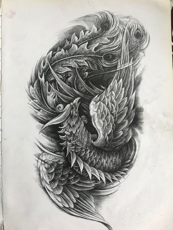 Hình xăm phượng hoàng, phong cách blackwork chi tiết, ảnh độ phân giải cao 752x564.