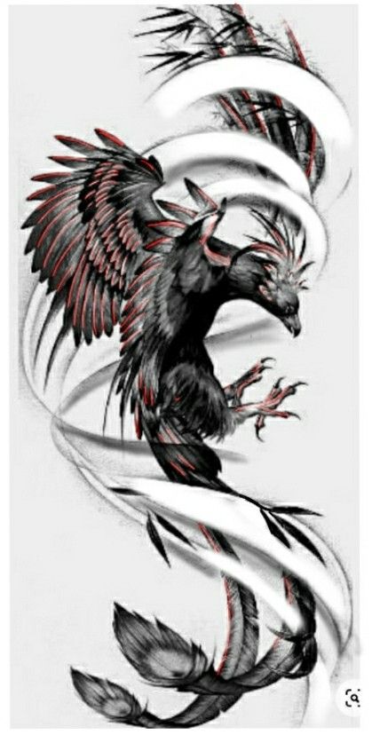 Hình xăm phượng hoàng phong cách blackwork, chi tiết cao, độ phân giải HD.