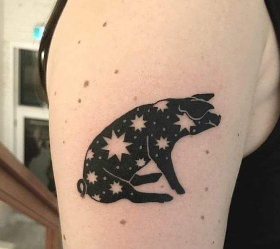 sáng tạo với kiểu tattoo heo trên bắp tay Hình xăm lợn phong cách blackwork trên cánh tay, chi tiết sao, ảnh chất lượng HD.