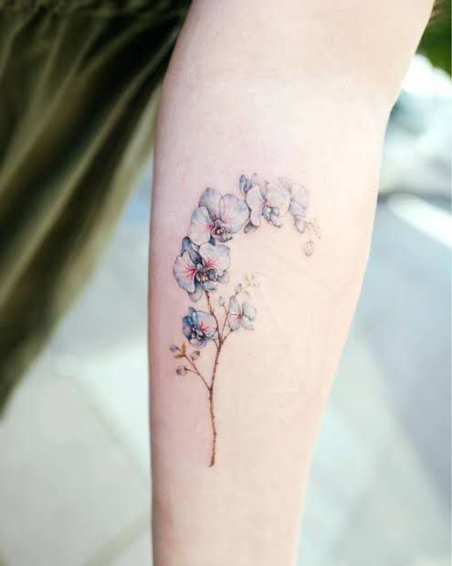 vẻ đẹp đầy tinh tế và giản dị của hình xăm hoa lan Hình xăm hoa lan trên cánh tay, phong cách màu nước, chi tiết tinh tế, ảnh HD.