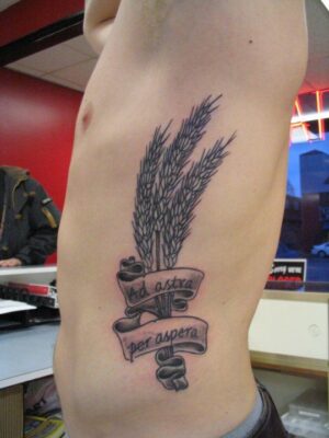 Tattoo bó lúa có thêm chữ Hình xăm lúa mì và dải băng chữ Latin trên mạn sườn, phong cách blackwork, chi tiết rõ nét, ảnh độ phân giải HD.