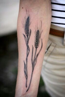 Tattoo hai cây lúa nghệ thuật Hình xăm bông lúa trên cánh tay, phong cách blackwork, chi tiết đơn giản, ảnh HD.