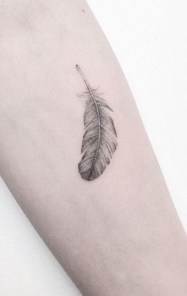 Hình xăm lông vũ trên cánh tay, phong cách blackwork tinh tế, ảnh HD chất lượng cao.