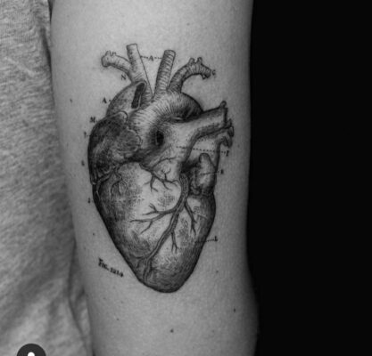 trái tim được xăm ở tay siêu nét Hình xăm trái tim giải phẫu trên cánh tay, phong cách blackwork, chi tiết rõ nét, độ phân giải HD.