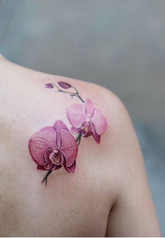 vẻ đẹp tinh tế của đóa hoa lan nơi bả vai Hình xăm hoa lan hồng trên vai, phong cách màu nước, chi tiết tinh tế, ảnh HD.