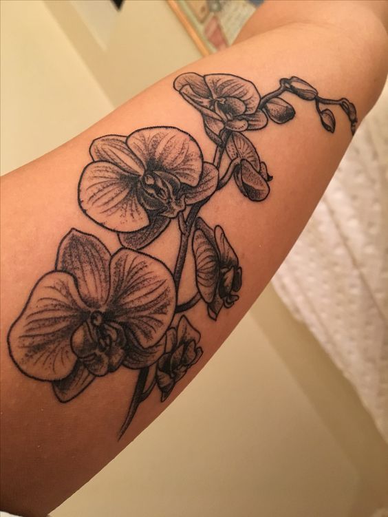 ngoại hình tuyệt mỹ và độc đáo của hoa phong lan Hình xăm hoa lan trên cánh tay, phong cách blackwork chi tiết, độ phân giải HD.