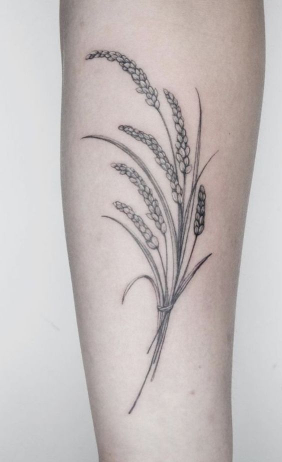 Xăm hình bông lúa cổ điển Hình xăm lúa mì trên tay, phong cách blackwork, chi tiết, độ phân giải HD.