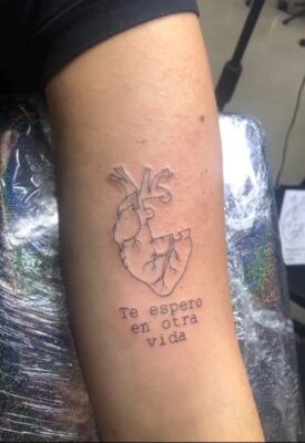 xăm hình trái tim cùng dòng chữ nét mảnh Hình xăm trái tim giải phẫu và chữ trên cánh tay, phong cách blackwork chi tiết, độ phân giải HD.