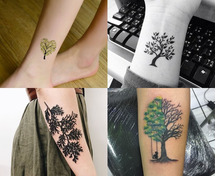 Hình xăm cây trên chân, cổ tay, cánh tay, phong cách blackwork và màu, chi tiết rõ nét, độ phân giải HD.