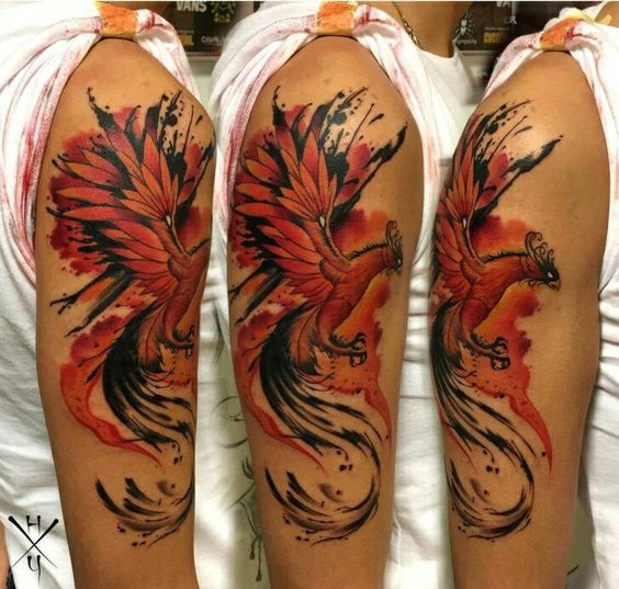 Chi tiết hình xăm phượng hoàng ở bắp tay khách Hình xăm phượng hoàng màu nước trên bắp tay, phong cách nghệ thuật, chi tiết sống động, ảnh HD.