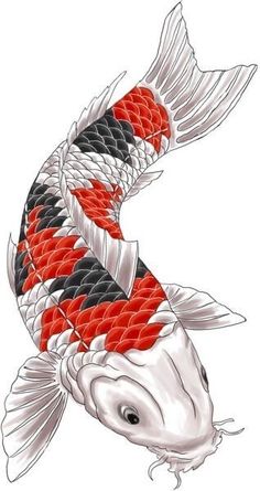 Hình vẽ cá chép phong cách Nhật Bản Hình xăm cá chép màu nước, phong cách nghệ thuật, chi tiết. Ảnh chất lượng cao, độ phân giải HD.