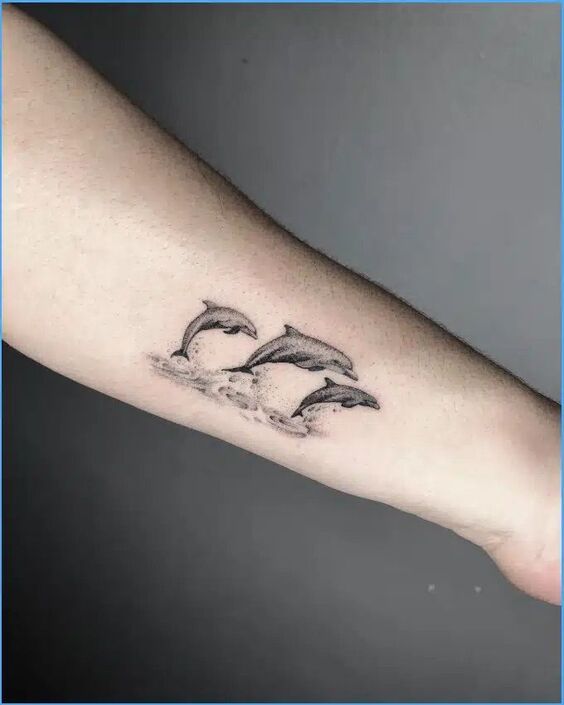 hình xăm ba con cá heo đơn sắc Hình xăm cá heo mini trên cánh tay, phong cách blackwork, chi tiết rõ nét, độ phân giải HD.