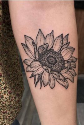 Hình xăm bông hoa hướng dương độc đáo Hình xăm hoa hướng dương trên cánh tay, phong cách blackwork chi tiết, ảnh HD.
