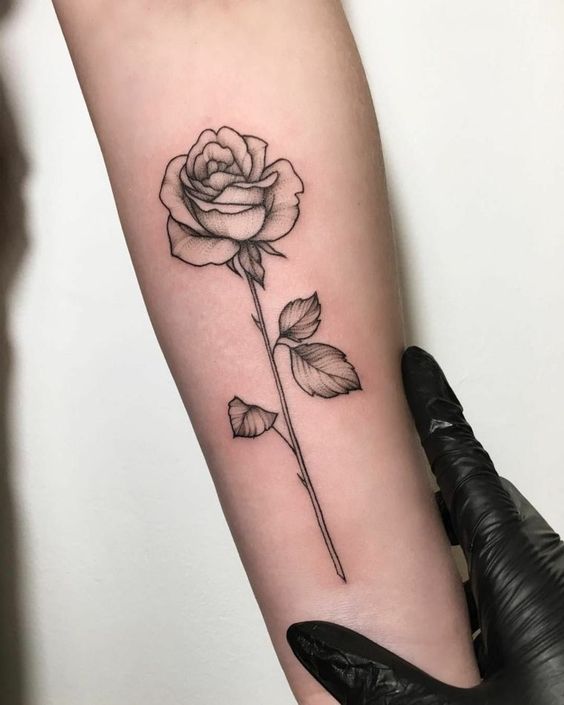 xăm bông hồng đen trắng mini đẹp Hình xăm hoa hồng blackwork trên cánh tay, phong cách tối giản, độ chi tiết cao, độ phân giải HD.