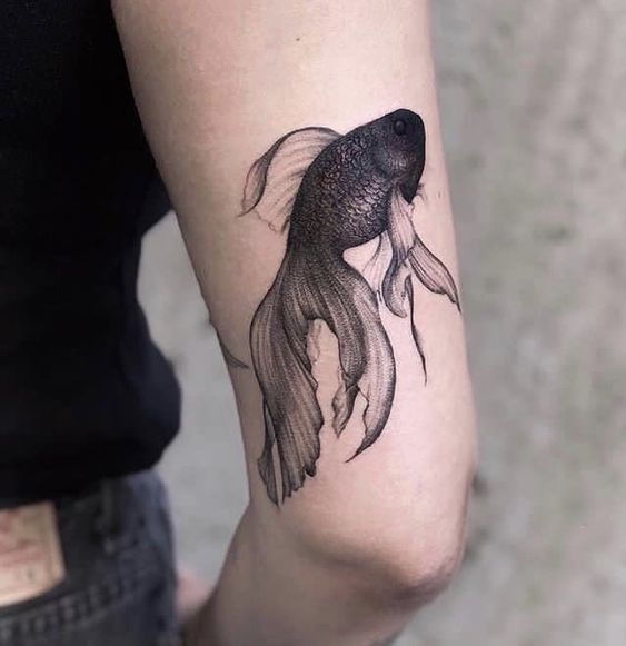 Hình xăm cá chép phong cách blackwork trên tay, chi tiết tinh xảo, ảnh chất lượng HD.