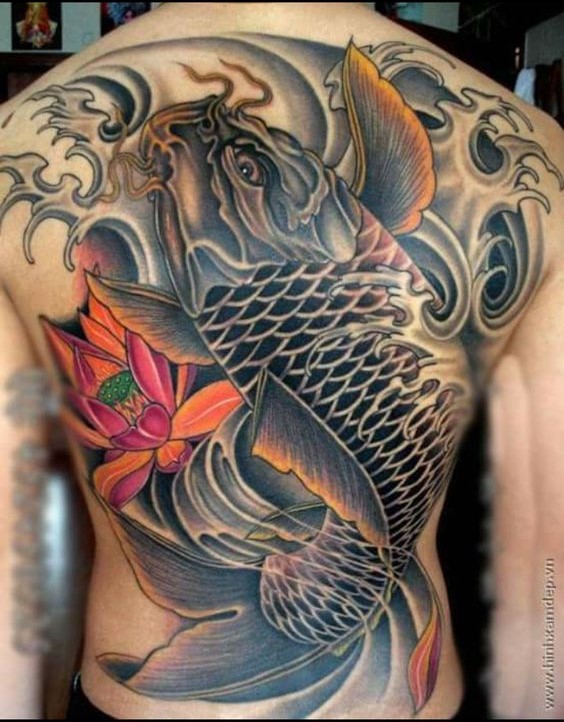Hình xăm cá chép màu sắc sống động trên lưng, phong cách truyền thống, chi tiết cao, ảnh chất lượng HD.