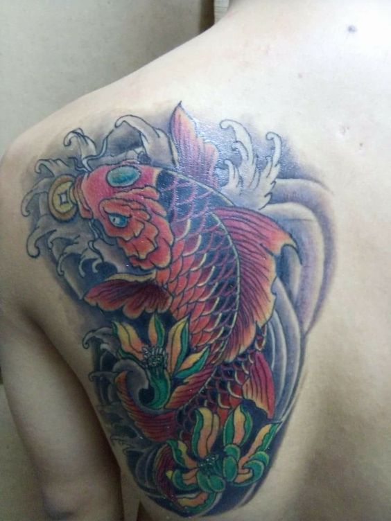 Hình xăm cá chép màu sắc trên vai, phong cách cổ điển, chi tiết, độ phân giải HD.