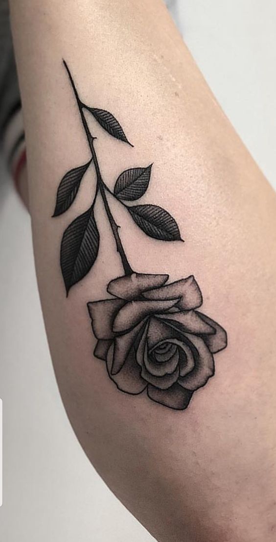Hình xăm cành hoa hồng đen cho nữ đẹp Hình xăm hoa hồng trên tay, phong cách blackwork, chi tiết rõ nét, ảnh HD.