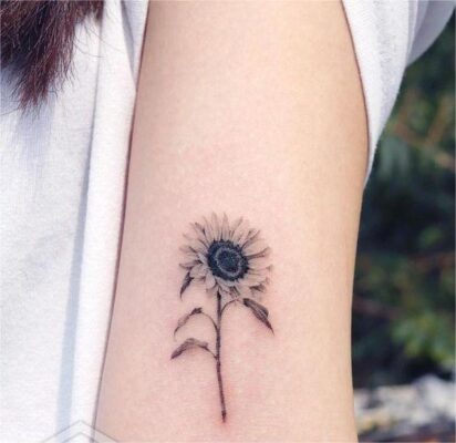 hình xăm cây hoa hướng dương mực đen Hình xăm hoa hướng dương trên cánh tay, phong cách blackwork, chi tiết, độ phân giải HD.