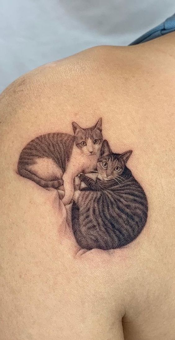 Hình xăm mèo trên vai, phong cách blackwork chi tiết, ảnh độ phân giải cao.